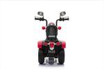 6V Freddo Toys Chopper Style Ride on Trike